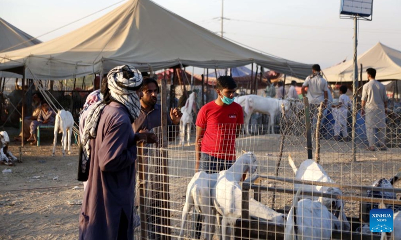 People visit a livestock market ahead of Eid al-Adha festival in Islamabad, capital of Pakistan on June 11, 2024.  (Photo: Xinhua)