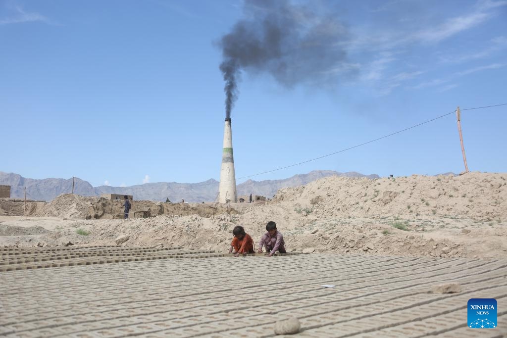 Children work in a brick factory in Kabul, the capital of Afghanistan, June 12, 2024. Nineteen percent of children are engaged in child labor in Afghanistan, the Afghanistan office of the United Nations Office for the Coordination of Humanitarian Affairs (OCHA) said Wednesday.(Photo: Xinhua)