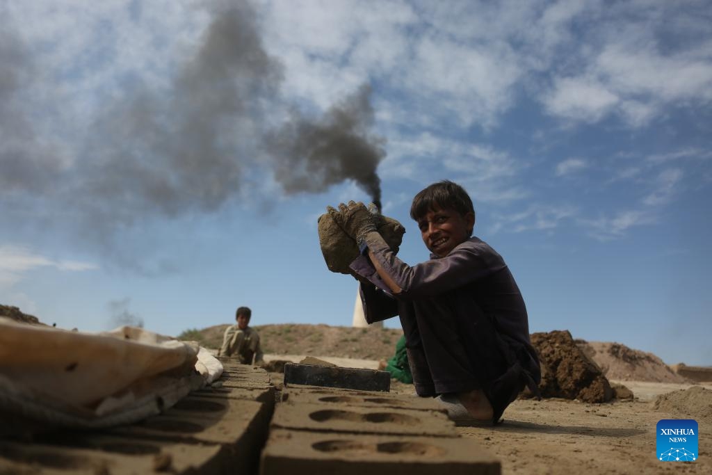 Children work in a brick factory in Kabul, the capital of Afghanistan, June 12, 2024. Nineteen percent of children are engaged in child labor in Afghanistan, the Afghanistan office of the United Nations Office for the Coordination of Humanitarian Affairs (OCHA) said Wednesday.(Photo: Xinhua)