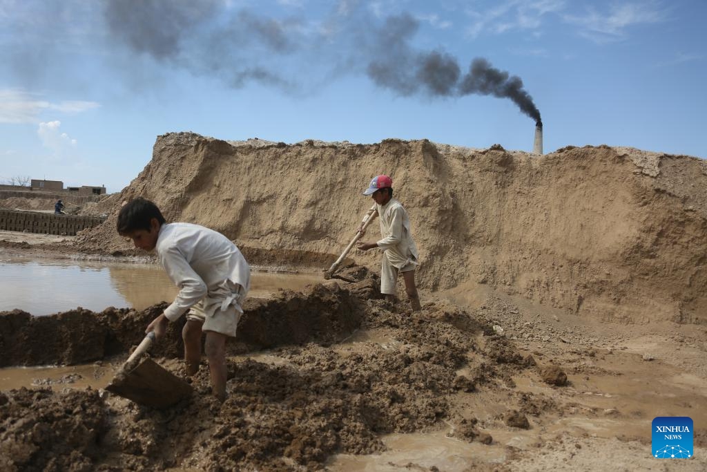 Children work in a brick factory in Kabul, the capital of Afghanistan, June 12, 2024. Nineteen percent of children are engaged in child labor in Afghanistan, the Afghanistan office of the United Nations Office for the Coordination of Humanitarian Affairs (OCHA) said Wednesday.(Photo: Xinhua)