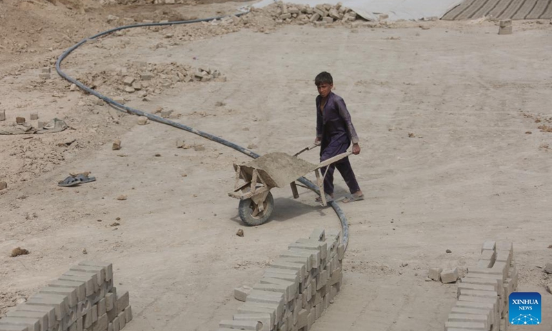 A boy works in a brick factory in Kabul, the capital of Afghanistan, June 12, 2024. Nineteen percent of children are engaged in child labor in Afghanistan, the Afghanistan office of the United Nations Office for the Coordination of Humanitarian Affairs (OCHA) said Wednesday.(Photo: Xinhua)
