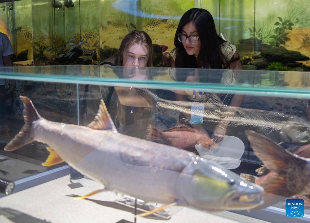 A young American experiences Chinese calligraphy at Hubei University of Education in Wuhan, central China's Hubei Province, June 8, 2024.(Xinhua/Du Zixuan)