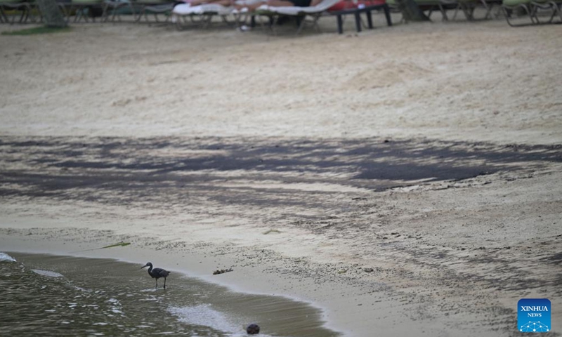 Oil stains are seen on Siloso beach of Sentosa island in Singapore, June 15, 2024. The Netherlands-flagged dredger Vox Maxima collided with Singapore-flagged bunker vessel Marine Honor at the Pasir Panjang Terminal on Friday, leading to oil leakage, said the Maritime and Port Authority of Singapore (MPA). (Xinhua/Then Chih Wey)