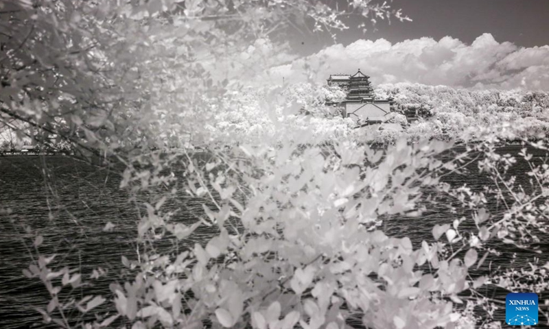 This photo taken on June 14, 2024 shows an infrared view of the Summer Palace in Beijing, capital of China. (Photo: Xinhua)
