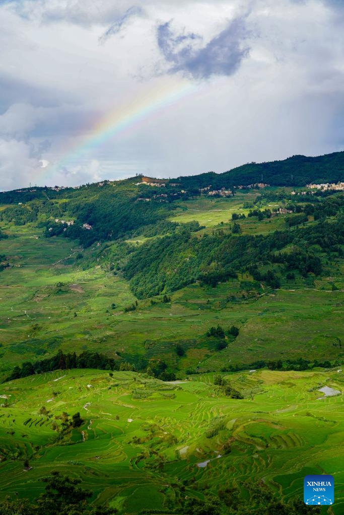 This photo taken on June 14, 2024 shows a view of Hani terraced fields in Yuanyang County of Honghe Hani and Yi Autonomous Prefecture, southwest China's Yunnan Province. (Photo: Xinhua)