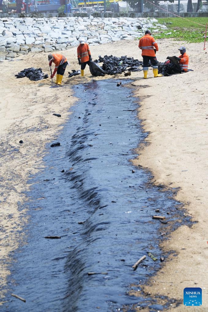 Workers clean up the oil spill on the beach of East Coast Park in Singapore, June 16, 2024. (Photo: Xinhua)