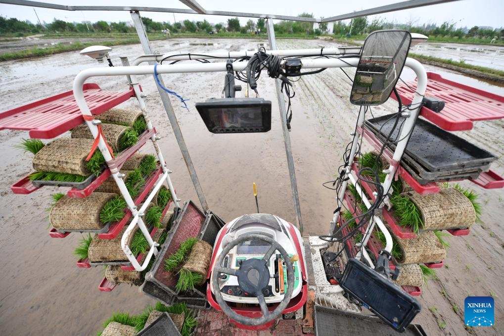 An autonomous rice transplanter works at a smart planting base in Datonghu District of Yiyang City, central China's Hunan Province, April 10, 2024. In recent years, local authorities in Chaohu Lake in east China's Anhui Province and Datong Lake in central China's Hunan Province have promoted green rice planting and smart farming through fertilizer reduction and efficiency improvement, prevention and control of diseases and pests, and the establishment of smart agricultural platforms, so as to improve agricultural development.(Photo: Xinhua) 