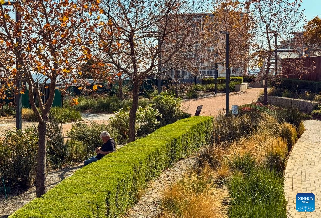 This photo taken with a mobile phone shows an old man resting at the waterfall city park in Johannesburg, South Africa, June 17, 2024.(Photo: Xinhua)