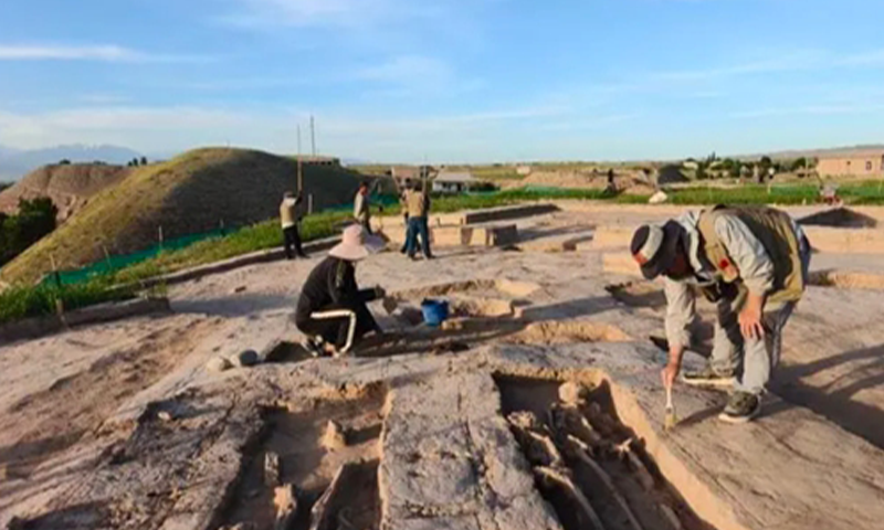 Chinese, Uzbek archeologists work on archaeological site. Photo: Courtesy of Northwest University