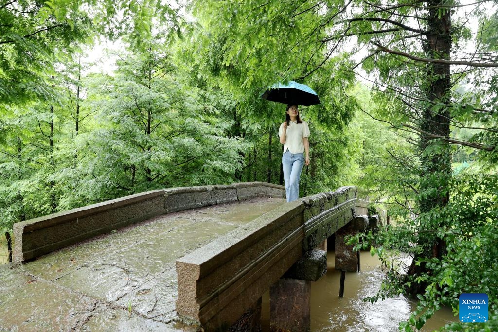 A woman walks on the Jianji Bridge in Longsheng Village of Deqing County, east China's Zhejiang Province, June 27, 2024. Deqing County is home to seven ancient stone bridges which are listed as major cultural heritage sites under state-level protection. In recent years, the county has spared no effort in the protection and renovation of ancient stone bridges, while promoting the integration of its heritage resources with cultural tourism and research trips.(Photo: Xinhua)