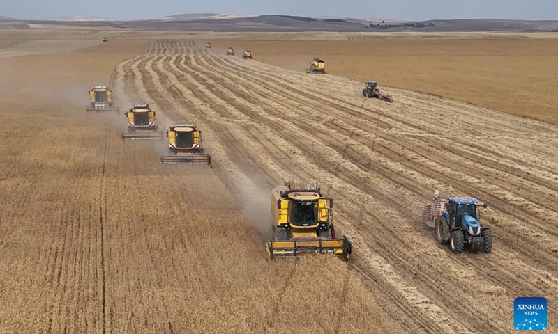 View of harvest in Türkiye - Global Times