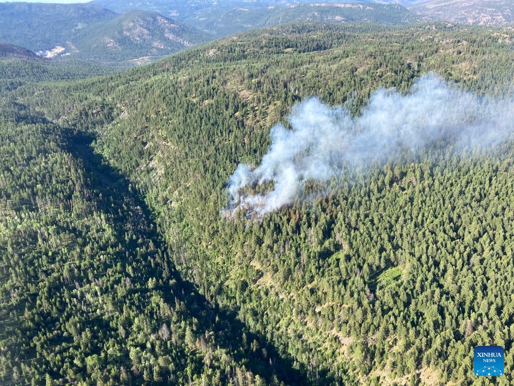 Aerial photo provided by BC Wildfire Service shows a wildfire near Peachland, west of Kelowna, British Columbia, Canada, on July 10, 2024. As of Thursday afternoon, there were 150 active wildfires in the province of British Columbia, including 30 started in the past 24 hours. (Photo: Xinhua)