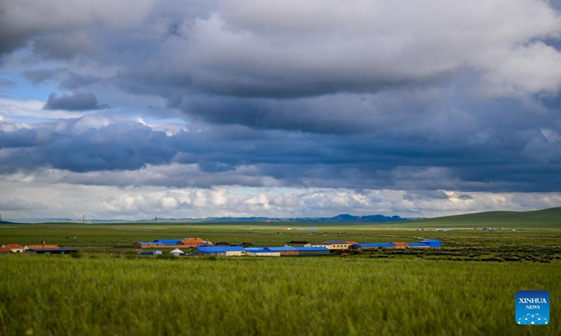 This photo taken on July 16, 2024 shows the scenery of a grassland in West Ujimqin Banner of Xilingol League, north China's Inner Mongolia Autonomous Region. (Photo: Xinhua)