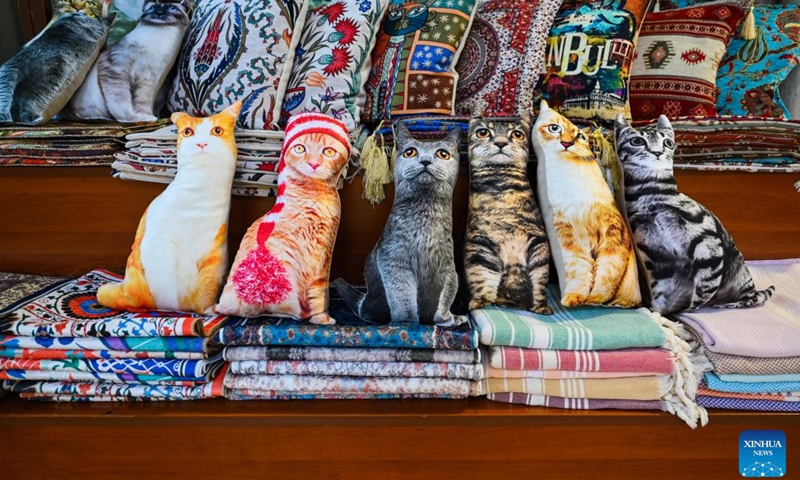 This photo taken on July 15, 2024 shows a shop at the Grand Bazaar of Istanbul, Türkiye. The time-honored Grand Bazaar, which boasts a history of more than 500 years, is one of the oldest and largest bazaars in the world. (Photo: Xinhua)