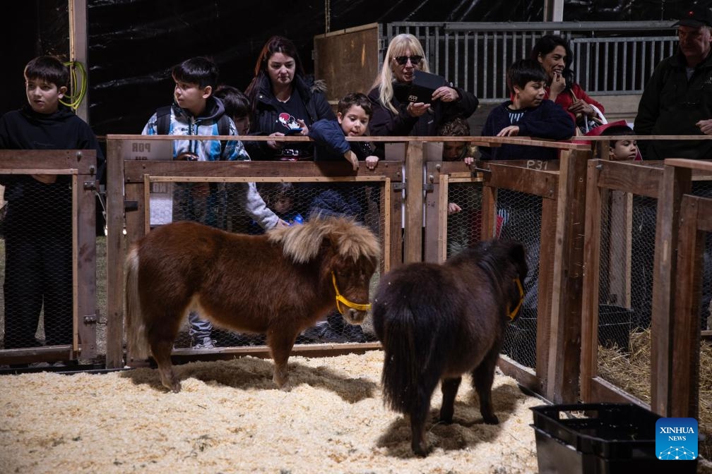 People view horses on display during the 136th edition of the Livestock, Agriculture and Industry Exhibition in Buenos Aires, Argentina on July 18, 2024. (Photo: Xinhua)