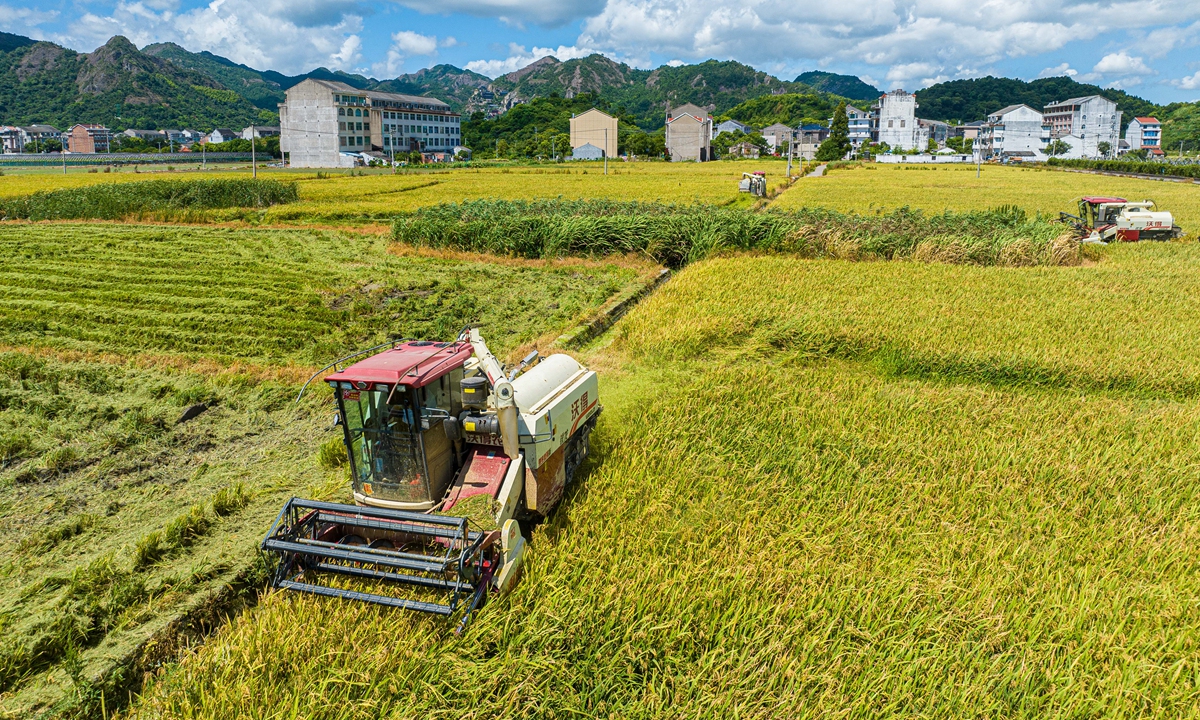 Three combine harvesters rush to harvest early rice before the coming of a typhoon in a village in Wenling, Zhejiang on July 22. Photo:VCG