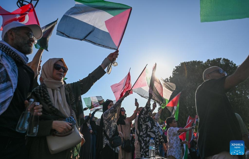 People take part in a rally to express their support for the Palestinians in Istanbul, Türkiye, Aug. 3, 2024. Photo: Xinhua