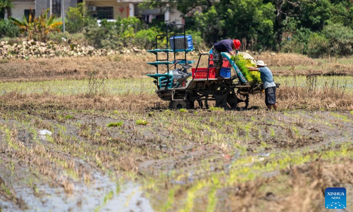Villagers drive a rice transplanter planting rice seedlings in Liantuo Village of Xiangtan County, central China's Hunan Province, Aug. 5, 2024. Dike breaches occurred between July 28 and 29 after Typhoon Gaemi triggered record-breaking floods on the Juanshui river. The dike breaches in Xiangtan County were repaired and farmers have begun planting rice seedlings after flood receded. (Photo：Xinhua)