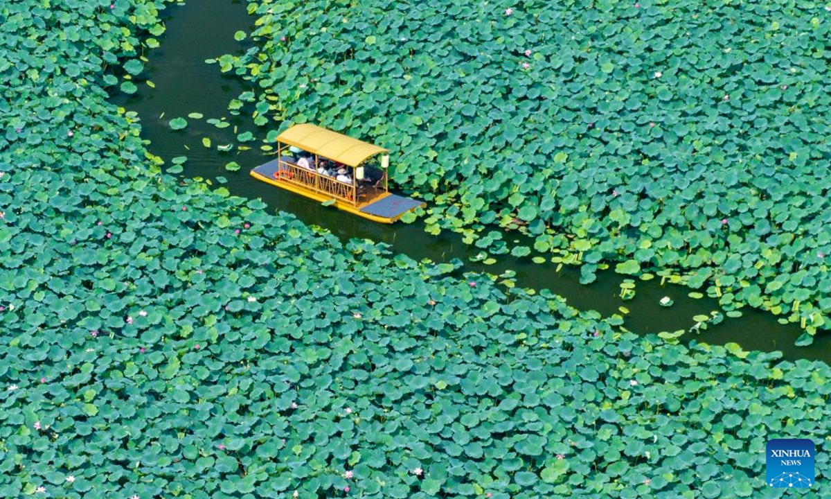 An aerial drone photo shows tourists sightseeing in a lotus pond scenic area in Xinghua, east China's Jiangsu Province, Aug. 5, 2024. (Photo:Xinhua)