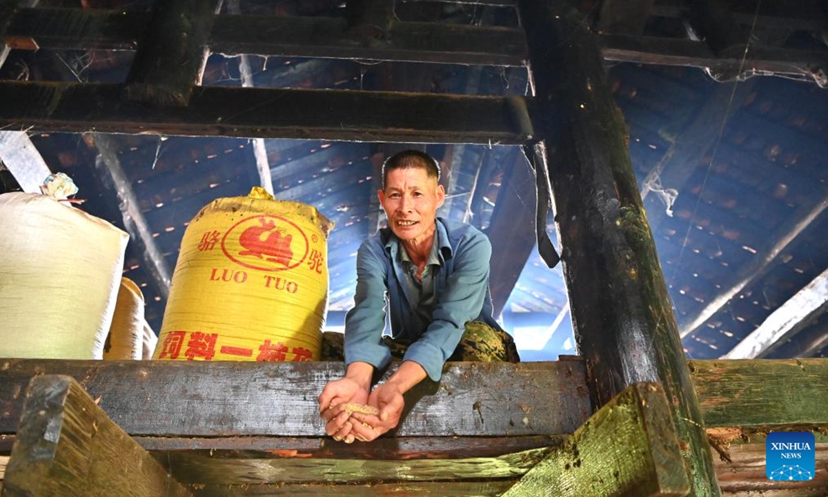 A villager shows rice stored on the top floor of his wooden Ganlan building in Pingliu Village of Longlin County in south China's Guangxi Zhuang Autonomous Region, July 31, 2024. Pingliu Village, spanning a history of over 200 years, is a Zhuang ethnic-minority hamlet that borders neighboring provinces of Yunnan and Guizhou. (Photo: Xinhua)