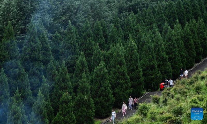 Tourists visit Shennongtan scenic spot in Shennongjia Forest District, central China's Hubei Province, Aug. 5, 2024.Located in the eastern part of the Qinba mountains, Shennongjia Forestry District, with the forest coverage of over 91 percent, has an average elevation of 1,700 meters. The average temperature here is lower than 20 degrees Celsius in summer, making it a popular destination for tourists. (Photo: Xinhua)