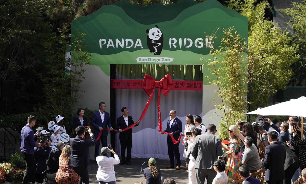 Yun Chuan and Xin Bao, first pandas to enter the US in 21 years - make their public debut on August 8, 2024 at the San Diego Zoo. Photo: Chinese Embassy in the US