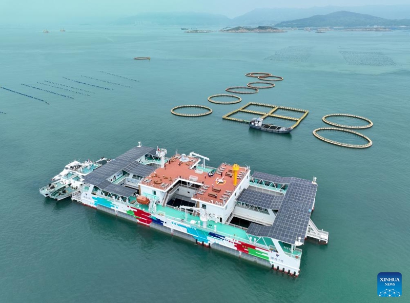 An aerial drone photo taken on Aug. 9, 2024 shows a deep-sea aquaculture platform in Lianjiang County of Fuzhou, southeast China's Fujian Province. Lianjiang County has been actively exploring and supporting the construction of deep-sea aquaculture platforms. Eleven platforms have been put into use here since 2018 and the annual output of high-quality fish reaches nearly 2,000 tonnes. Photo: Xinhua