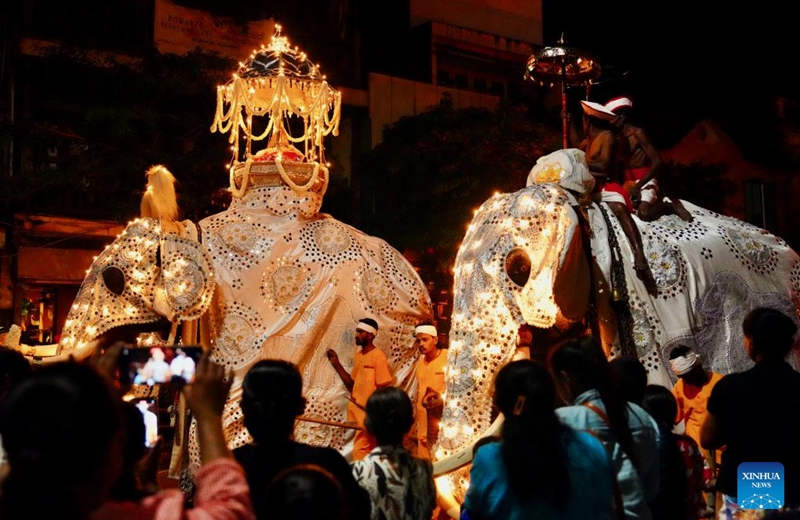 Decorated elephants participate in a procession celebrating the Esala Perahera festival in Kandy, Sri Lanka, Aug. 10, 2024. The Esala Perahera, one of the grandest Buddhist festivals in Sri Lanka, is observed from Aug. 10 to 20 this year. Photo: Xinhua