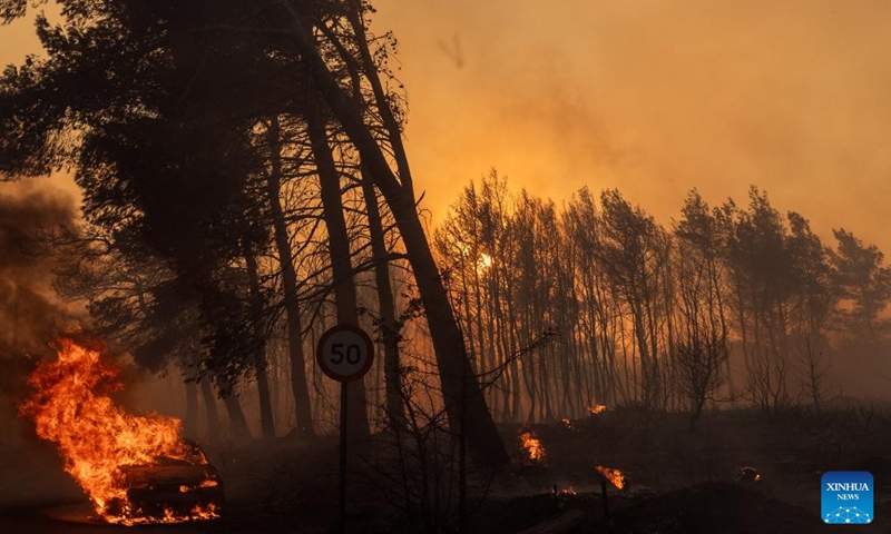 A car (lower left corner) catches fire during a wildfire in Varnavas, around 35 km from Athens, Greece, on Aug. 11, 2024. Greek firefighters were battling a major wildfire for several hours on Sunday near Athens, which has forced the evacuation of five settlements, the Fire Brigade said. Five residents among the evacuees were transferred to hospitals with minor injuries, mostly from respiratory problems due to smoke inhalation, said Health Minister Adonis Georgiadis. The fire broke out around 3 pm local time in Varnavas, around 35 km from Athens, in the northeastern Attica region near Marathon. Photo: Xinhua