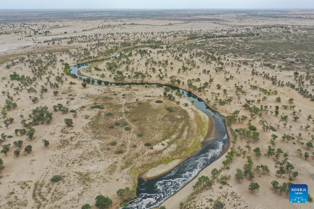 An aerial drone photo taken on Aug. 12, 2024 shows water flowing through the populus euphratica forests in the lower reaches of Tarim River after being released from the Daxihaizi Reservoir in Yuli County, northwest China's Xinjiang Uygur Autonomous Region. Northwest China's Xinjiang Uygur Autonomous Region on Monday began discharging water from a reservoir into the Tarim River, China's longest inland river, as part of an ongoing ecological conservation project in the region. (Photo: Xinhua)