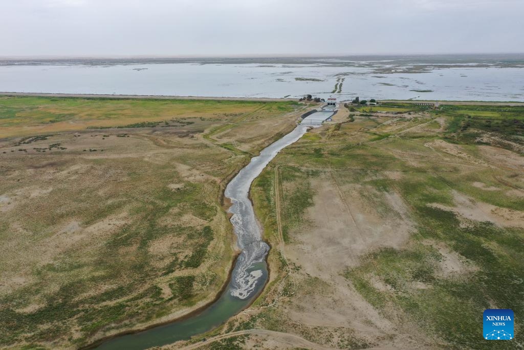 An aerial drone photo taken on Aug. 12, 2024 shows water flowing from the Daxihaizi Reservoir into the river course in Yuli County, northwest China's Xinjiang Uygur Autonomous Region. Northwest China's Xinjiang Uygur Autonomous Region on Monday began discharging water from a reservoir into the Tarim River, China's longest inland river, as part of an ongoing ecological conservation project in the region. (Photo: Xinhua)