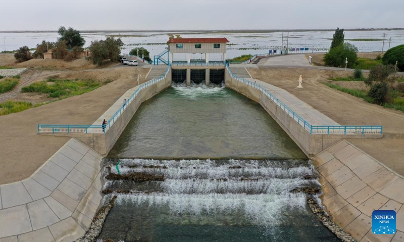 A drone photo taken on Aug. 12, 2024 shows water flowing from the Daxihaizi Reservoir into the river course in Yuli County, northwest China's Xinjiang Uygur Autonomous Region. Northwest China's Xinjiang Uygur Autonomous Region on Monday began discharging water from a reservoir into the Tarim River, China's longest inland river, as part of an ongoing ecological conservation project in the region. (Photo: Xinhua)