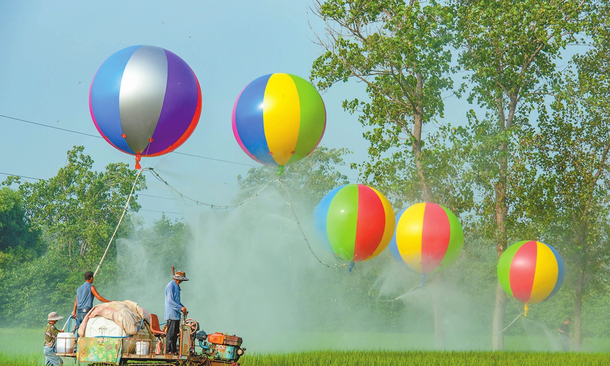 Balloon watering - Global Times