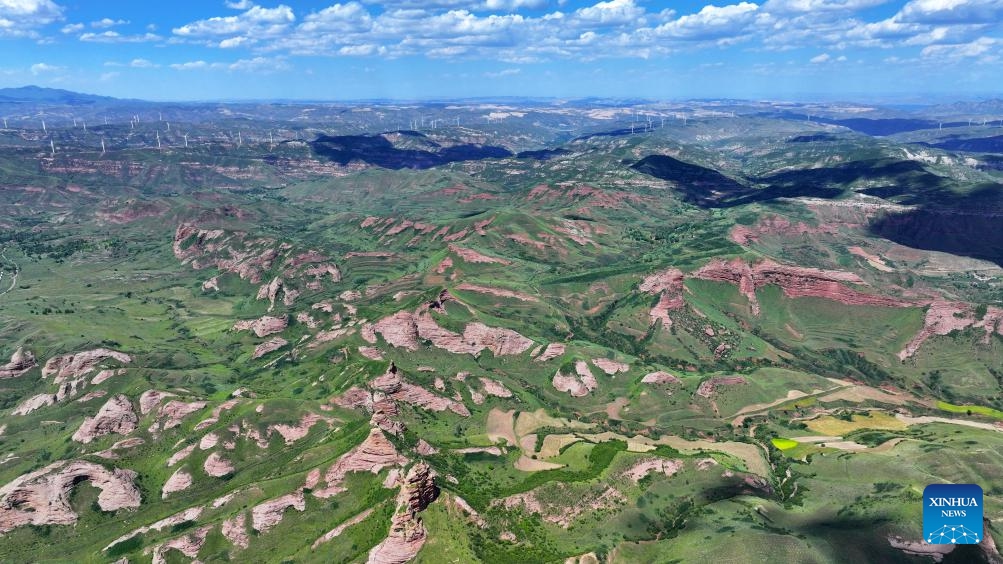 An aerial drone photo shows the Danxia landform at the Huoshizhai National Geological (Forest) Park in Xiji County of Guyuan, northwest China's Ningxia Hui Autonomous Region, Aug. 18, 2024. The park is famous for its Danxia landform, a unique type of geomorphology formed from red-colored sandstones and characterized by steep cliffs. (Photo: Xinhua)