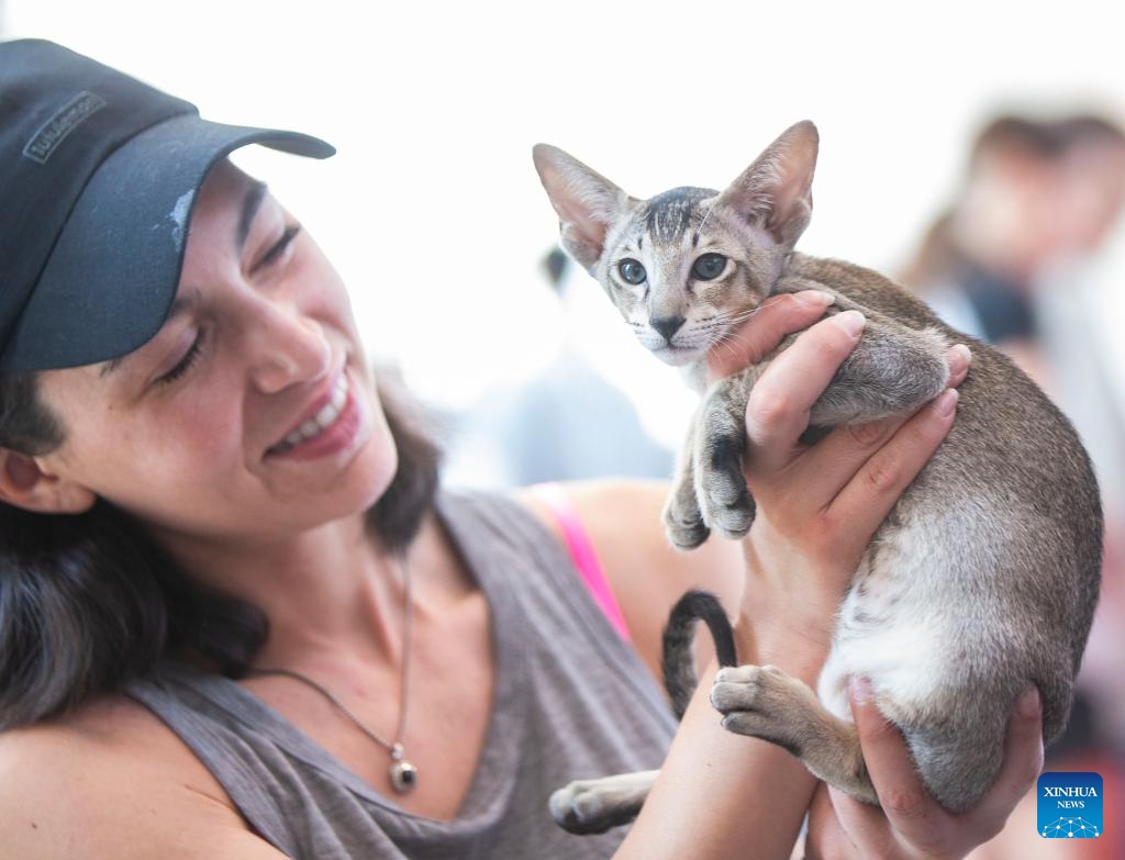 A woman shows her pet cat during the Cat Show at the 2024 Canadian National Exhibition (CNE) in Toronto, Canada, on Aug. 24, 2024. More than 100 pet cats across Canada participated in this annual event from Aug. 24 to 25. (Photo by Zou Zheng/Xinhua)