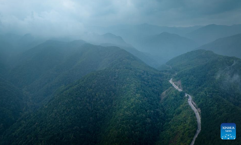 An aerial drone photo taken on Aug. 24, 2024 shows a view of Liupanshan National Forest Park shrouded in clouds in Guyuan City, northwest China's Ningxia Hui Autonomous Region. (Xinhua/Feng Kaihua)