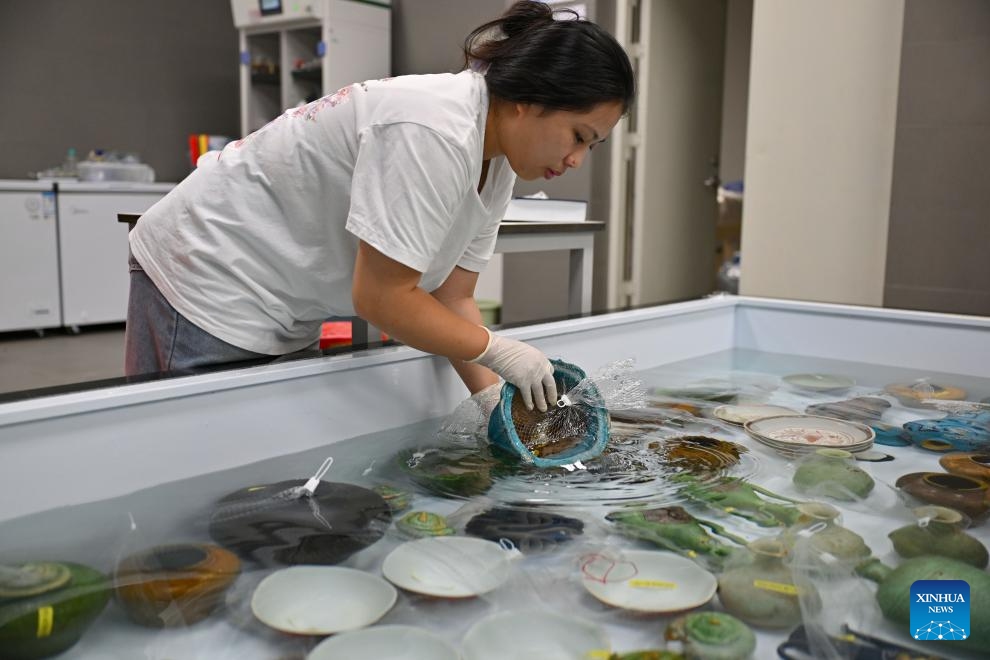 A staff member of the archaeological center of the National Cultural Heritage Administration conducts desalination process of cultural relics in Qionghai City, south China's Hainan Province, Aug. 27, 2024. At China (Hainan) Museum of the South China Sea, there is a cultural relic restoration team conducting the protection work of cultural relics retrieved from two ancient shipwrecks in the South China Sea. (Photo: Xinhua)