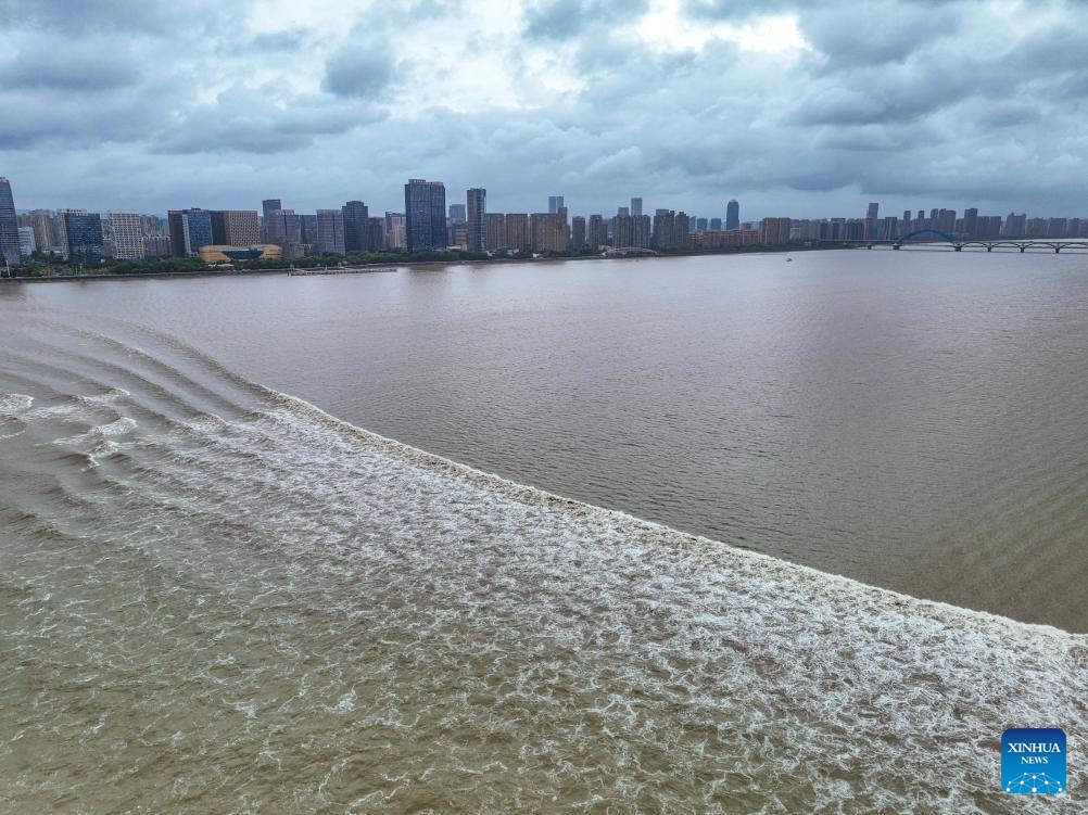 Waves caused by the Qiantang River tidal bore in Hangzhou Global Times
