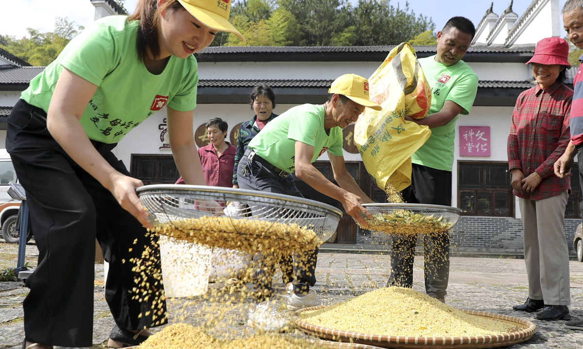 Villagers process sweet-scented osmanthus at a newly opened trading center in Tonglu village of Hangzhou, East China's Zhejiang Province on October 14, 2024. Data from China's
e-commerce giant JD.com showed that the searches for Osmanthus and related products since August have surged by more than 50 percent. Photo: VCG