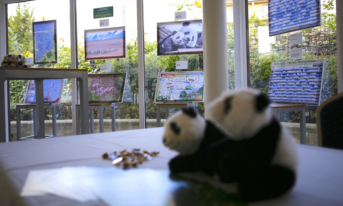 ‘Green Dream’ photo exhibition in Berlin engages global audiences in