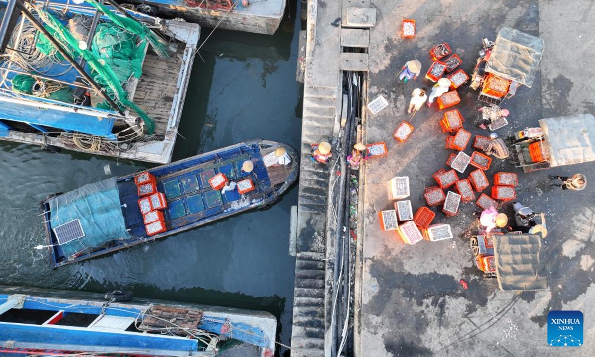 An aerial photo taken on Oct. 19, 2024 shows fishermen unloading seafood at a port in Lingao County, south China's Hainan Province. Fishermen here are busy unloading and processing seafood in harvest season. These fresh catches, apart from meeting local demand, will also be marketed nationwide via cold-chain logistics. (Photo: Xinhua)