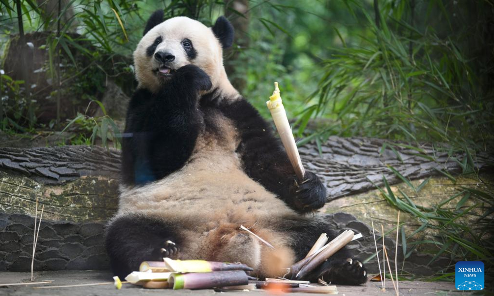 0f276bf1-8fe3-4126-9614-