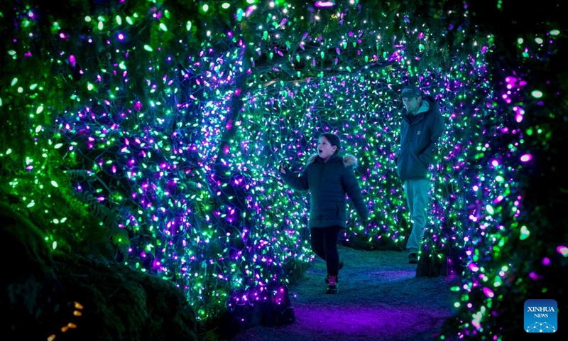 People enjoy light installations for the annual Festival of Lights event at VanDusen Botanical Garden in Vancouver, British Columbia, Canada, Nov. 29, 2024. The annual holiday tradition returned for its 40th anniversary and kicked off in Vancouver on Friday. Photo: Xinhua