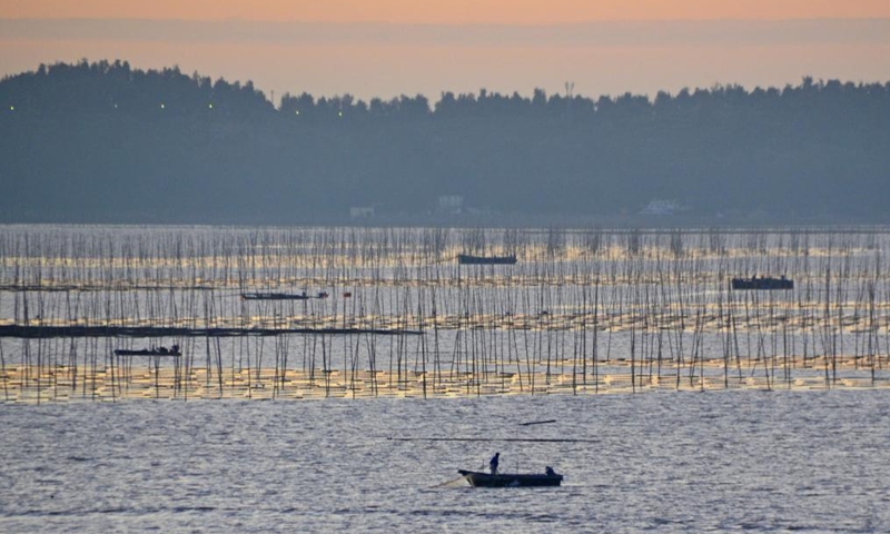 This photo taken on Nov. 30, 2024 shows a marine ranch in Xiajiaomen Village of Ganjiang Town, Yuhuan City, east China's Zhejiang Province. Photo: Xinhua