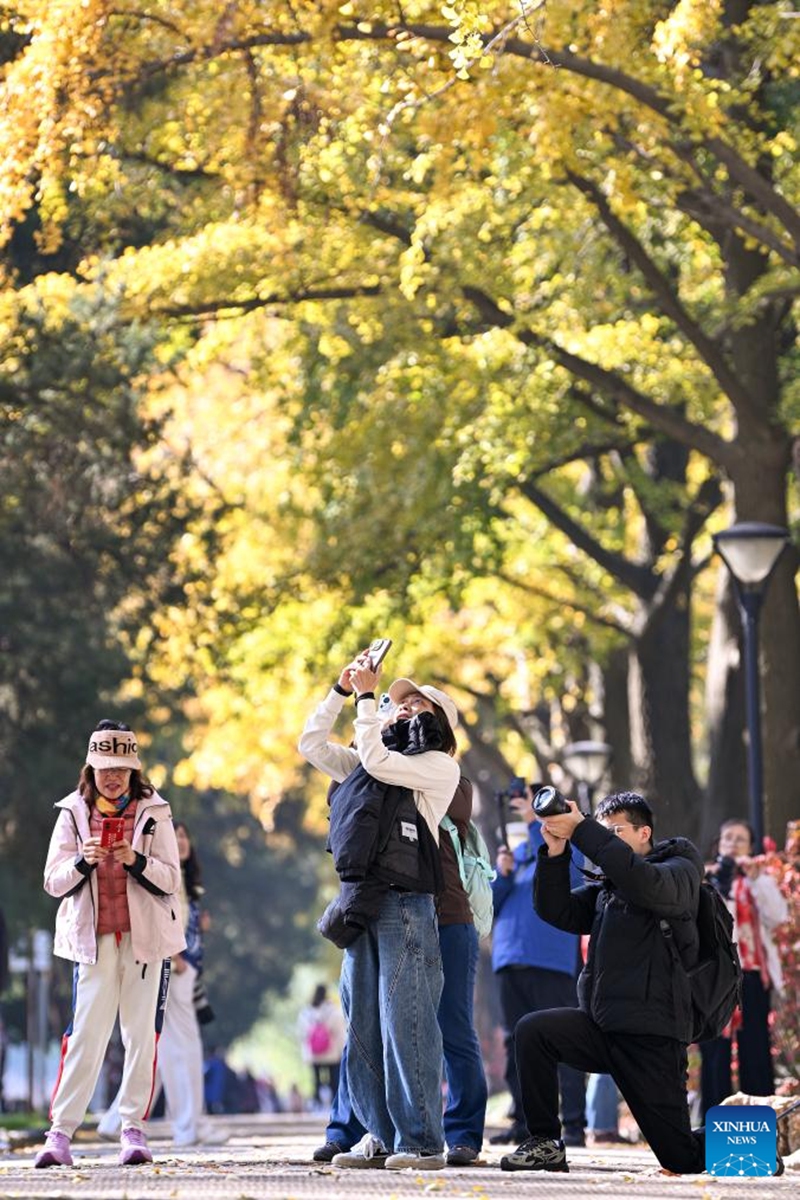 People visit the Xuanwu Lake Park in Nanjing, east China's Jiangsu Province, Nov. 30, 2024. Photo: Xinhua