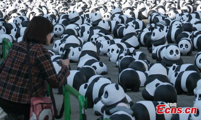 Part of 2,500 panda sculptures are displayed at the Hong Kong International Airport during a welcome ceremony of the panda-themed exhibition “Panda Go!” , the Hong Kong Special Administrative Region, Dec. 2, 2024. (Photo: Xinhua)