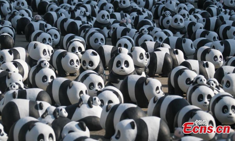 Part of 2,500 panda sculptures are displayed at the Hong Kong International Airport during a welcome ceremony of the panda-themed exhibition “Panda Go!” , the Hong Kong Special Administrative Region, Dec. 2, 2024. (Photo: Xinhua)