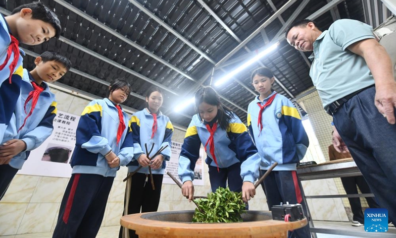 Students have a tea-making class at Tangping Primary School in Liubao Town of Cangwu County in Wuzhou City, south China's Guangxi Zhuang Autonomous Region, Dec. 3, 2024. In recent years, Liubao Town has introduced the promotion of Liubao tea culture into classrooms, offering a series of courses to advance the inheritance and development of the tea. Liubao tea-making technique is a UNESCO intangible cultural heritage subproject. Photo: Xinhua