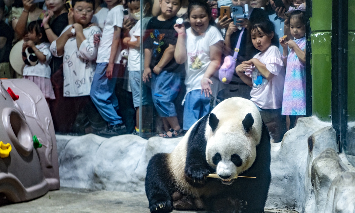 Children participates in a birthday celebration for Ling Yan, a giant panda at the Luanchuan Bamboo Sea Wildlife Zoo in Luoyang, Central China’s Henan Province, on August 18, 2023. Photo: VCG 