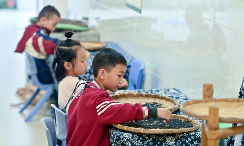 Children simulate buying tea at a kindergarten in Liubao Town of Cangwu County in Wuzhou City, south China's Guangxi Zhuang Autonomous Region, Dec. 3, 2024. In recent years, Liubao Town has introduced the promotion of Liubao tea culture into classrooms, offering a series of courses to advance the inheritance and development of the tea. Liubao tea-making technique is a UNESCO intangible cultural heritage subproject. Photo: Xinhua